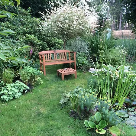 Гостевой дом Gaestehaus Kreativ Susanne Lay Бад-Мюндер-ам-Дайстер